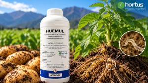 Hortus destaca señales de nemátodos en el cultivo de papa y la importancia de actuar a tiempo