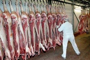 IMPORTACIÓN DE CARNE DE CERDO CRECIÓ 25% EN EL PRIMER SEMESTRE DEL AÑO