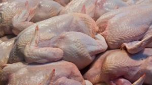 Importación de carne de pollo fresco y congelado aumentó en volumen y en valor