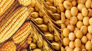 Importaciones agropecuarias aumentaron 8.3% en valor