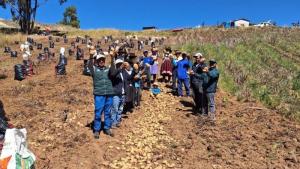 Impulsarán proyectos de innovación y transferencia de tecnologías agrarias para potenciar actividad agraria