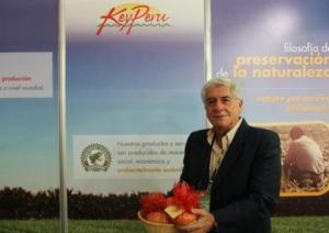 INCONGRUENCIAS EN LA INDUSTRIA DE LA AGRICULTURA