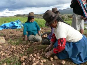 INCREMENTAR LA COMPETITIVIDAD EN EL PEQUEÑO PRODUCTOR SERÁ OBJETIVO ESTRATÉGICO DEL PRÓXIMO QUINQUENIO