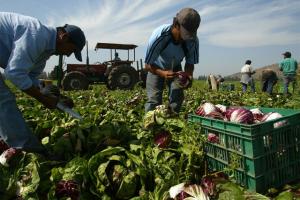 INEI: población ocupada en Perú sumó 17. 756.400  de personas en 2022, mostrando un aumento de 3.7%