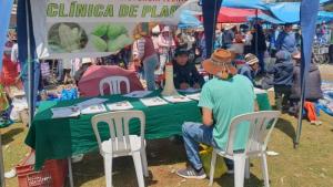 INIA brinda asistencia técnica para el cuidado de los cultivos de papa y maíz en Cusco