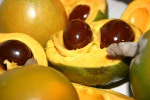 INIA BRINDARÁ CURSO SOBRE MANEJO PRODUCTIVO DEL CULTIVO DE LÚCUMO
