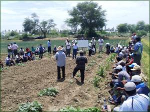 INIA FORTALECERÁ DESARROLLO AGRARIO DEL DISTRITO PIURANO LA ARENA