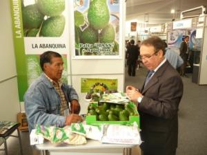 INIA IMPULSA EL CULTIVO DE PALTA ORGÁNICA