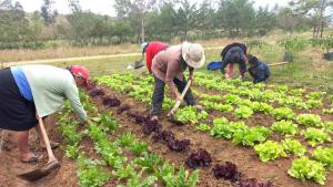 INIA incrementa en un 60% zonas de cultivo con suelos de alta calidad y productividad