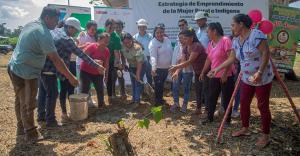 Inician trabajos para construcción de planta procesadora de chocolates en Neshuya