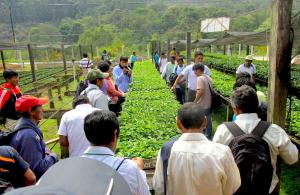 Instalan fincas de café  modelo para gestión integral de tres microcuencas del Vraem