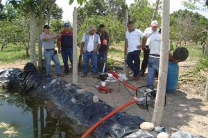 INSTALAN MÓDULOS DE CACAO Y CÍTRICOS CON RIEGO TECNIFICADO EN MARISCAL CÁCERES