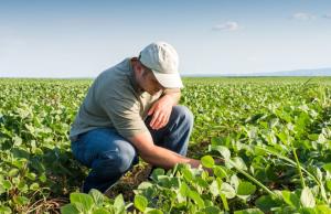 Institucionalizan el 30 de junio de cada año como el Día del Ingeniero Agrónomo en el Perú