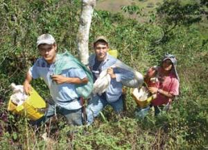 JÓVENES RURALES RECLAMAN APOYO PARA INSERTARSE EN CADENAS PRODUCTIVAS 