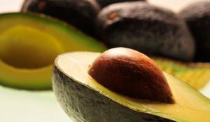 La palta chilena, más cerca de ingresar a Corea del Sur