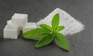 La Stevia impulsa el desarrollo agrícola en Lancones, Piura