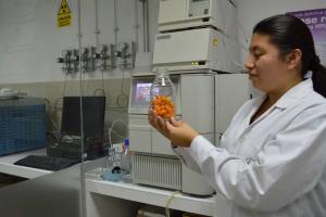 Lanzan Reto Bio 2019 para proyectos innovadores que pongan en valor recursos naturales