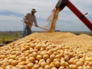 LAS AGROEXPORTACIONES SE MANTENDRÍAN ESTE AÑO