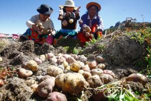 Las mujeres rurales son responsables de más de la mitad de los alimentos que se producen en el país