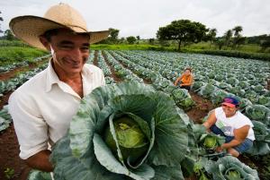 Los héroes del campo