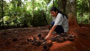 Madre de Dios: Productores líderes logran acceder a financiamiento del fondo Procompite