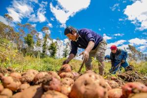 Mañana se realizará el II Pleno Agrario en el Congreso