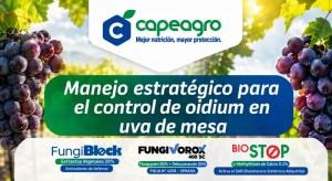 Manejo estratégico del Oidium en uva de mesa: una estrategia eficaz para proteger el rendimiento y la calidad del cultivo