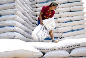 MARGEN DE COMERCIALIZACIÓN DEL ARROZ ES REGULAR