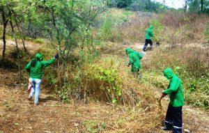 Más de 1.160 ha conservadas y 957 ha reforestadas proyecta Sierra Azul al 2017