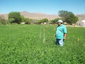 MÁS DEL 40% DE LAS TIERRAS DE PASTOREO ESTÁN EN PROCESO DE DETERIORO