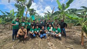 Mejoran la producción de plátano y beneficia a 850 familias del desarrollo alternativo en Ucayali