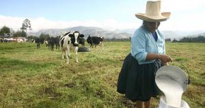 Midagri: en Perú existen más de 452 mil productores de leche