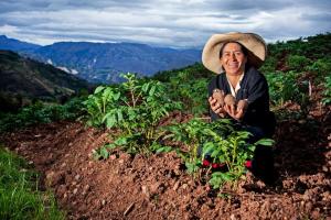 Midagri fortalece FAE Agro ampliando cobertura para 2 campañas agrícolas