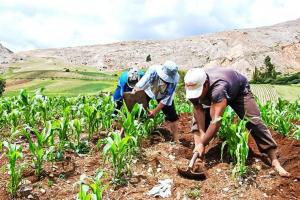 Midagri fortalece seguridad jurídica con entrega de títulos a pequeños productores