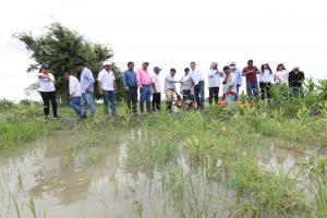 Midagri implementará medidas de atención para productores del campo en Piura