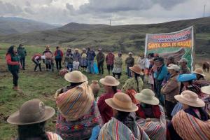 Minagri beneficia a 3.217 ganaderos con 1.930 hectáreas de pastos cultivados en Junín