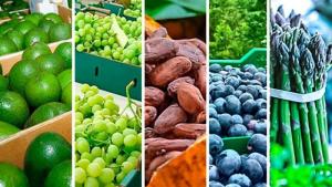 Mincetur: exportaciones peruanas de frutas sumaron US$ 2.802 millones, registrando un avance de 22.9%