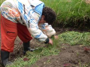 NIÑOS CON AUTISMO SE BENEFICIAN A TRAVÉS DE LA AGROTERAPIA