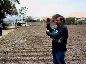 “NO SE NECESITA DEFORESTAR BOSQUES PARA TENER MÁS CULTIVOS DE CACAO”