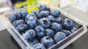 Notable crecimiento de los despachos de arándanos peruanos a otros destinos fuera de EE.UU., Reino Unido, Europa y China