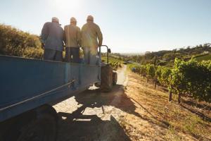 Nueva asociación BAII-FAO para impulsar infraestructura y transformar sistemas agroalimentarios