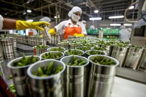 Número de empresas agroindustriales exportadoras sumaron 1.272 en primer bimestre del año