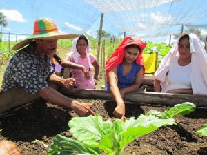 OCDE HIZO 32 RECOMENDACIONES A COLOMBIA PARA MEJORAR EL AGRO