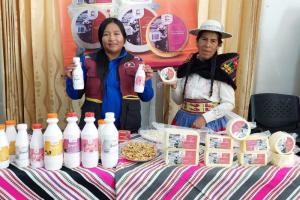 Organizan XIII Expo-Feria de Productos Lácteos Fegal Quero 2024 en Junín