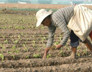 OTORGAN 90 DÍAS DE PRÓRROGA EL PAGO DEL PREDA