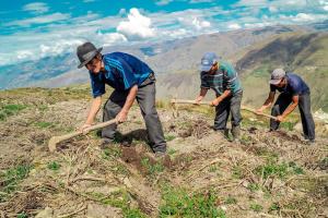 Padrón de Productores Agrarios superó el medio millón de agricultores registrados en el país