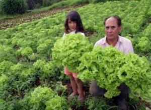 PAÍSES ANDINOS APUESTAN POR LA AGRICULTURA FAMILIAR