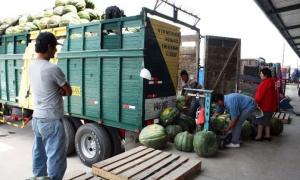 Permitirán la circulación de personal indispensable que desarolla actividades vinculadas al sector agrícola