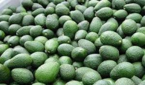 Perspectiva de crecimiento para el consumo de la palta peruana en el mercado de Estados Unidos