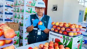 Perú aprueba levantamiento temporal de la suspensión de requisitos fitosanitarios para manzanas y carozos de Chile